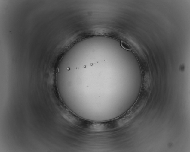 X0000101200413200807071319