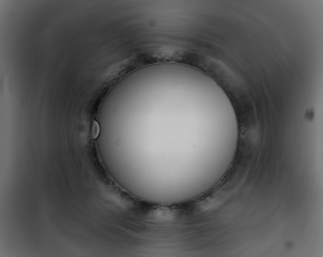 X0000101200416200807071319