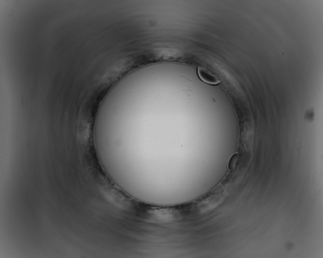 X0000101200417200807071319
