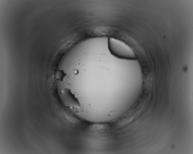 X0000101200418200807071319