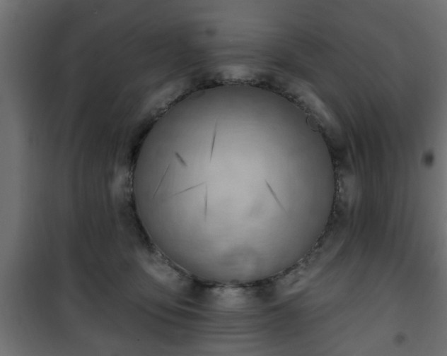X0000101200419200807071319