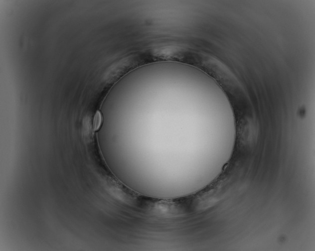 X0000101200420200807071319