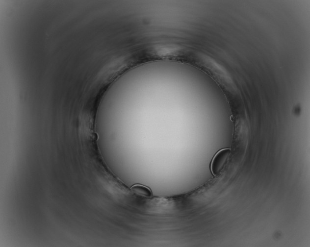 X0000101200421200807071319