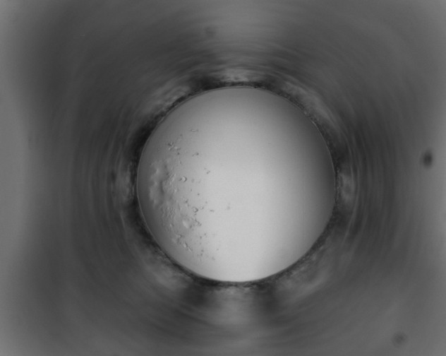 X0000101200422200807071319