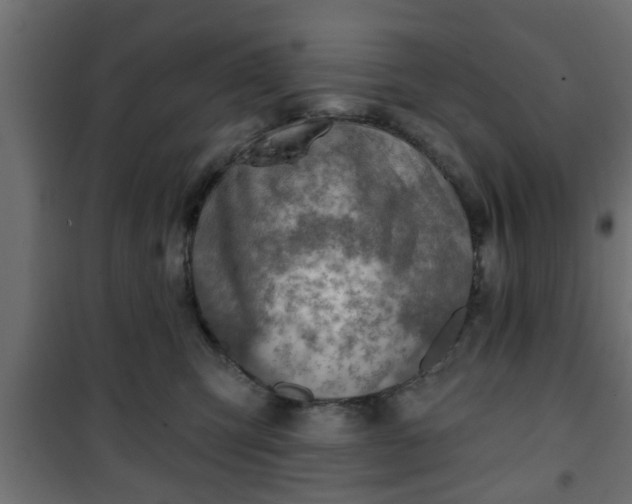 X0000101200423200807071319