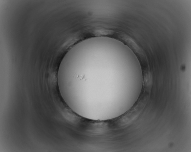 X0000101200426200807071319