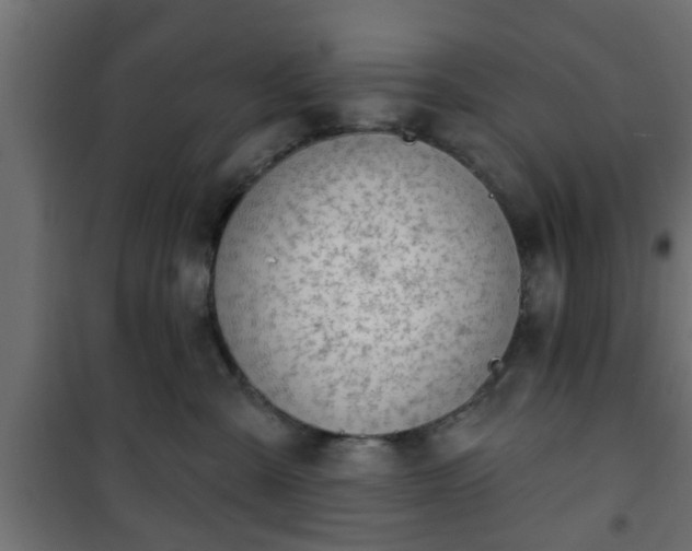 X0000101200427200807071319