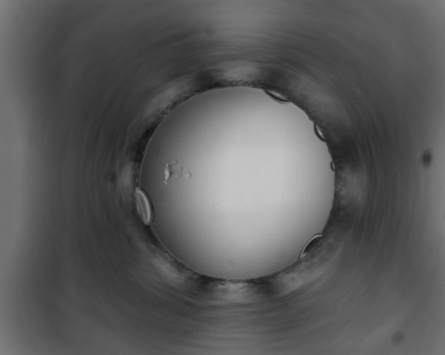 X0000101200428200807071319