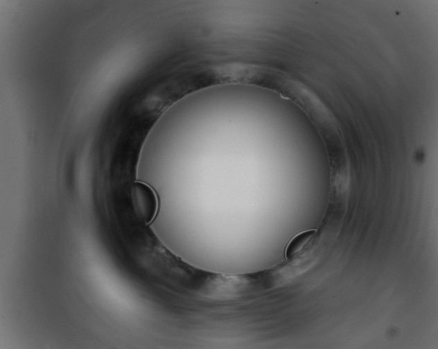 X0000101200429200807071319