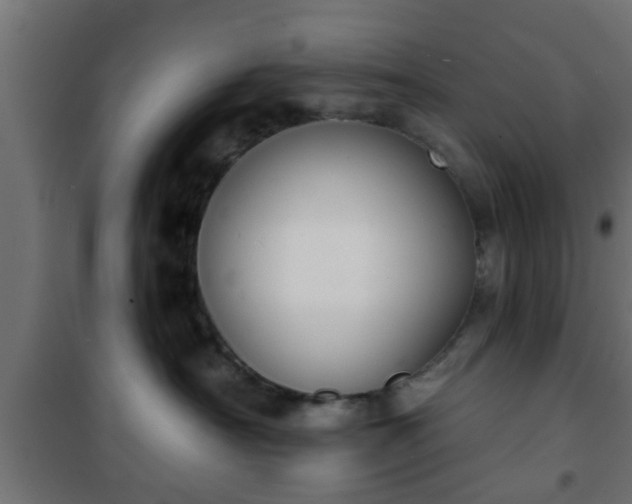 X0000101200430200807071319