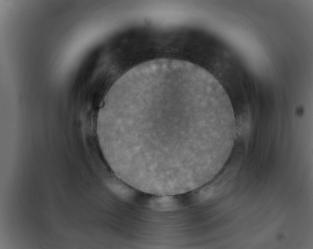 X0000101200431200807071319