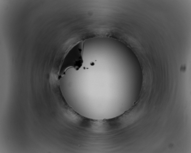 X0000101200432200807071319