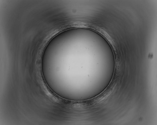 X0000101200433200807071318