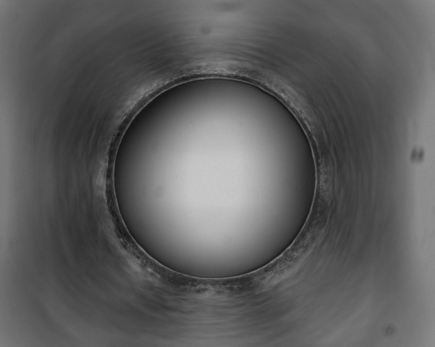 X0000101200434200807071318