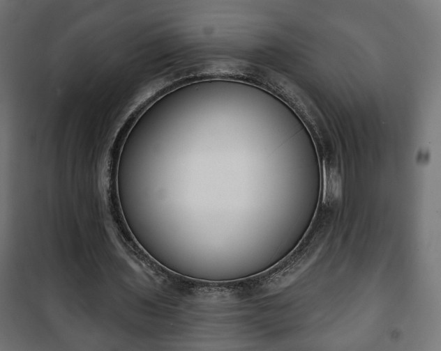X0000101200435200807071318