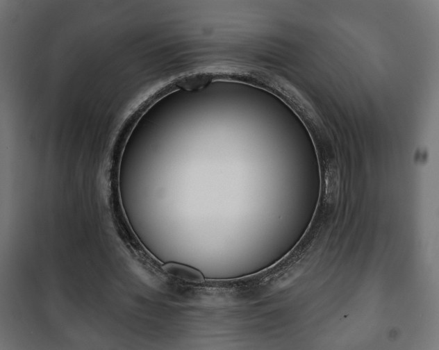 X0000101200436200807071318