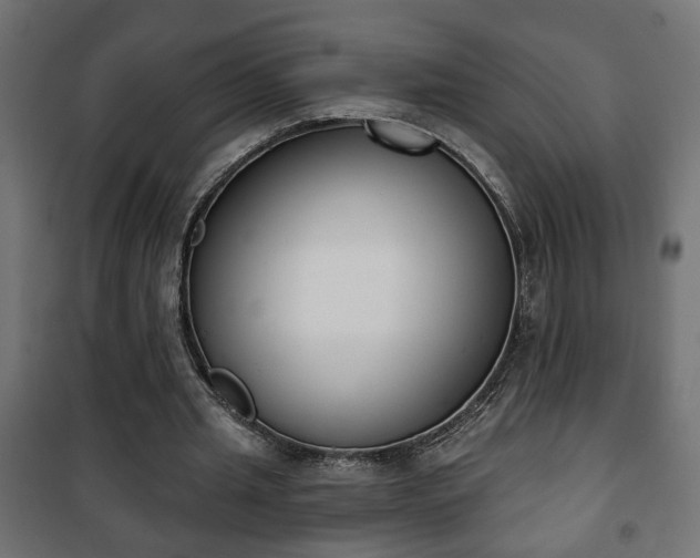 X0000101200437200807071318
