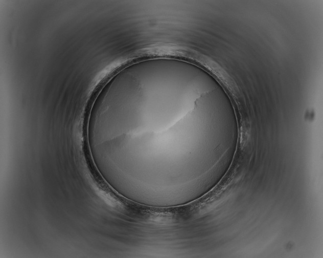 X0000101200438200807071318