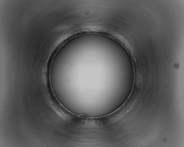 X0000101200439200807071318