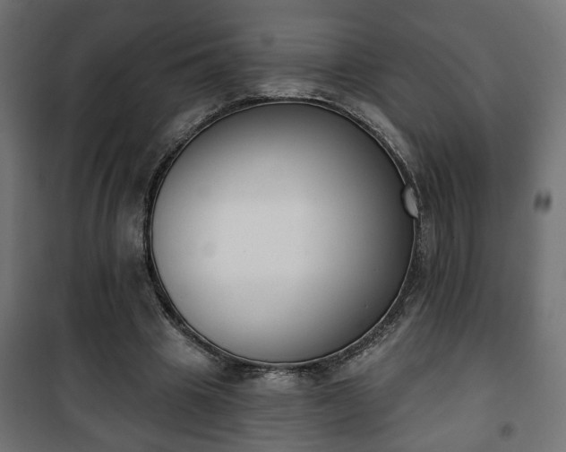 X0000101200441200807071318