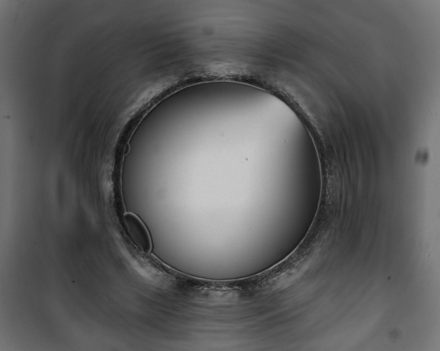 X0000101200443200807071318