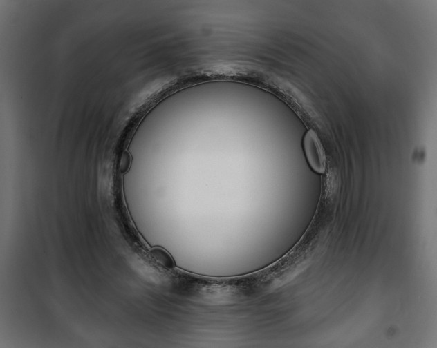 X0000101200444200807071318