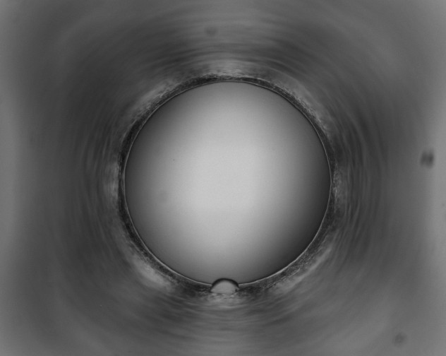 X0000101200445200807071318