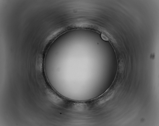 X0000101200446200807071318