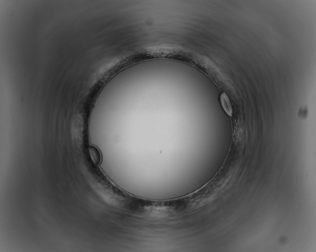 X0000101200448200807071318