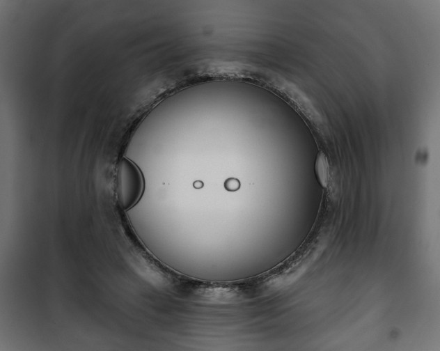 X0000101200449200807071318
