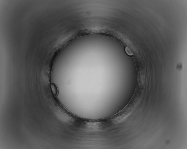 X0000101200450200807071318