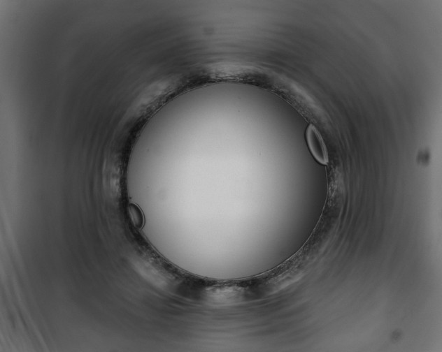 X0000101200452200807071318