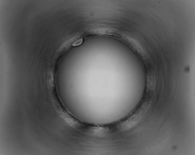 X0000101200453200807071318