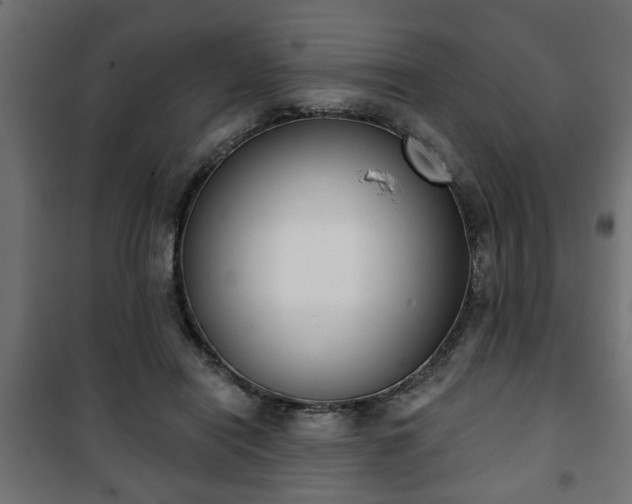 X0000101200454200807071318