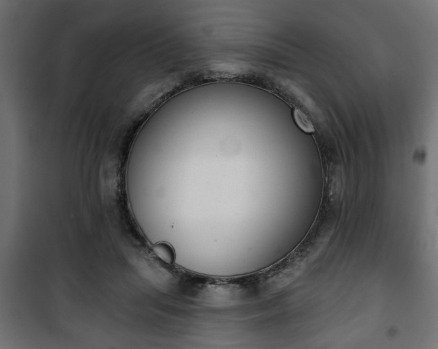 X0000101200455200807071318