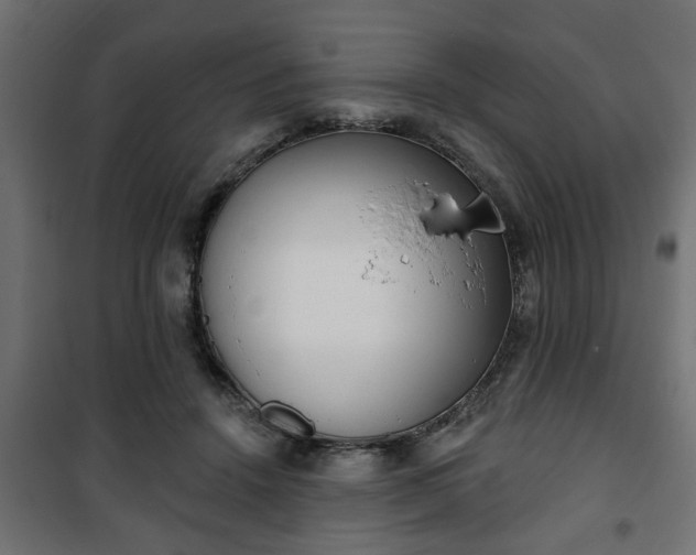 X0000101200456200807071318