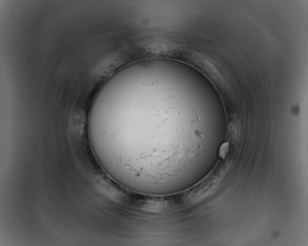 X0000101200458200807071318