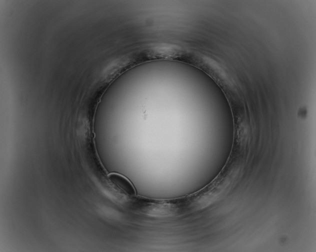 X0000101200459200807071318