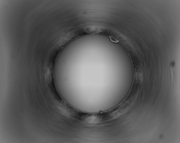 X0000101200460200807071318