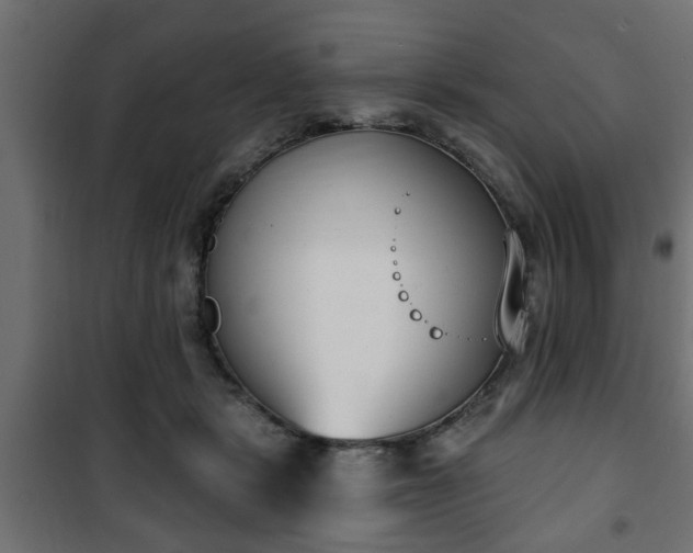 X0000101200461200807071318