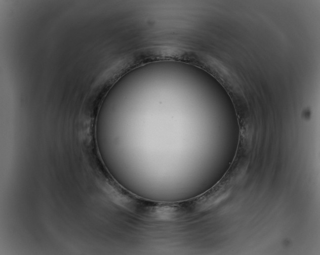 X0000101200462200807071318