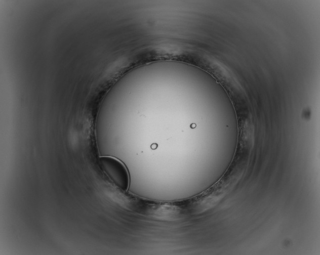 X0000101200463200807071318