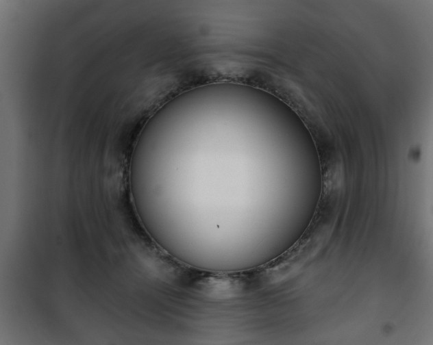X0000101200464200807071318