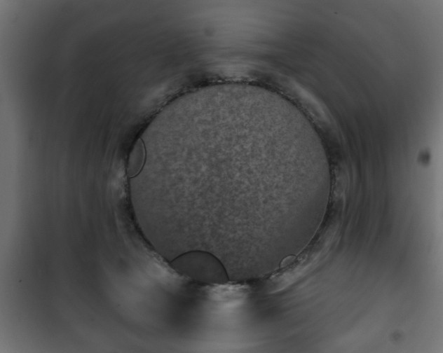 X0000101200465200807071318