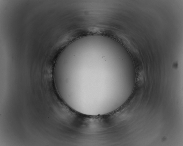 X0000101200466200807071318