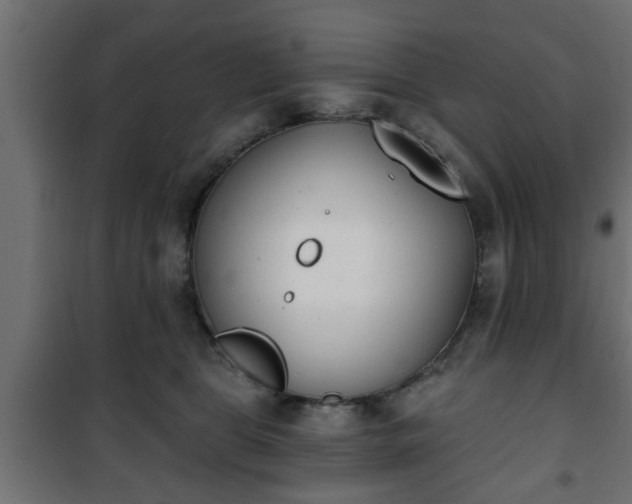 X0000101200469200807071318