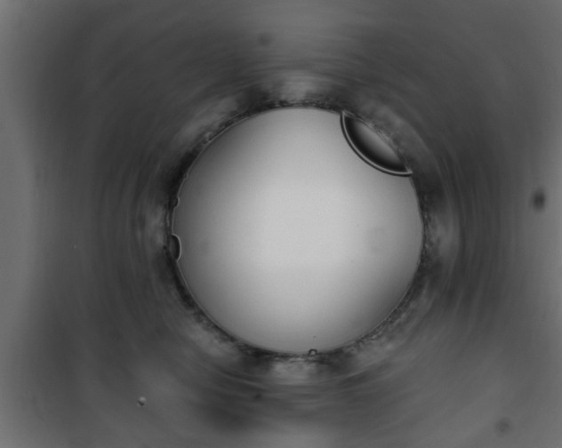 X0000101200470200807071318