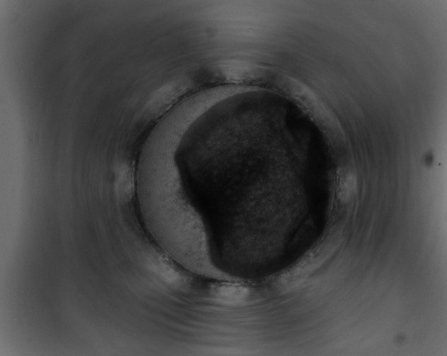 X0000101200471200807071318