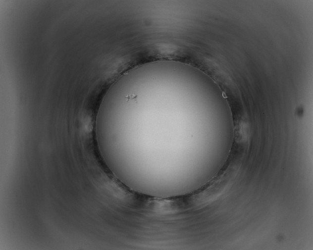 X0000101200472200807071318