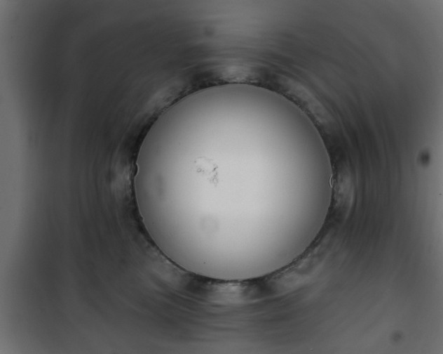X0000101200473200807071318